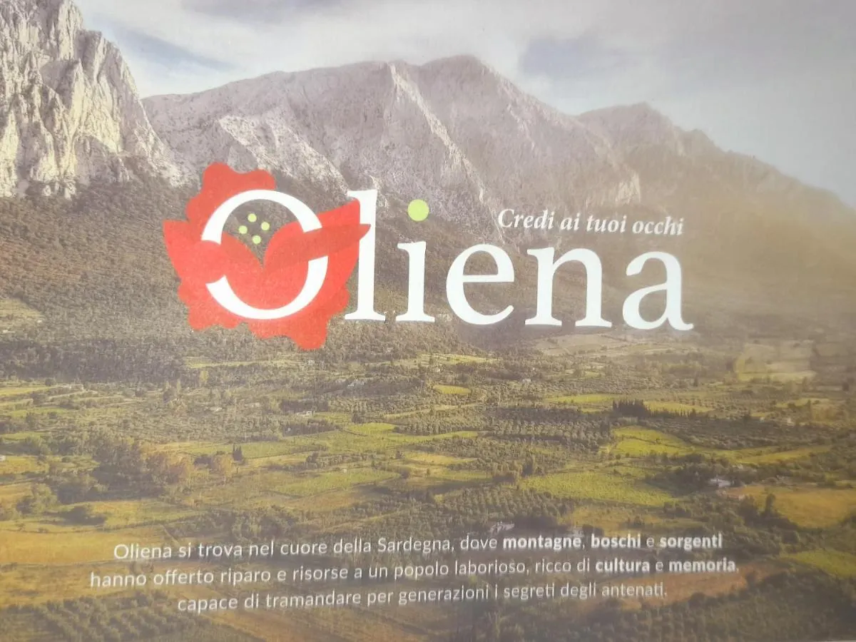 Bed & Breakfast Da Mintonia Oliena